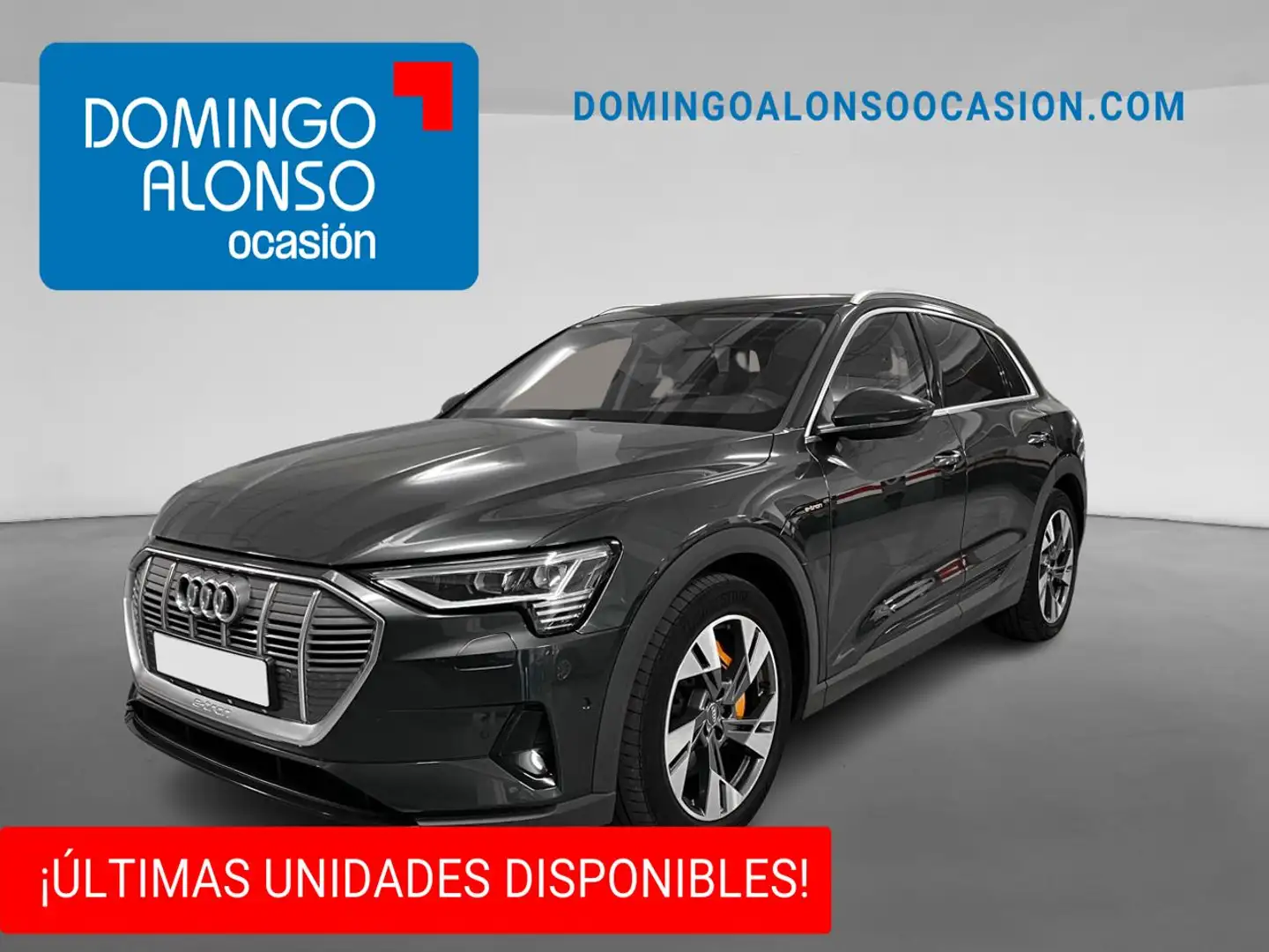Audi e-tron 50 Edition 230kW (313CV) quattro Gris - 1