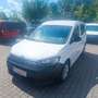 Volkswagen Caddy Basis Weiß - thumbnail 18