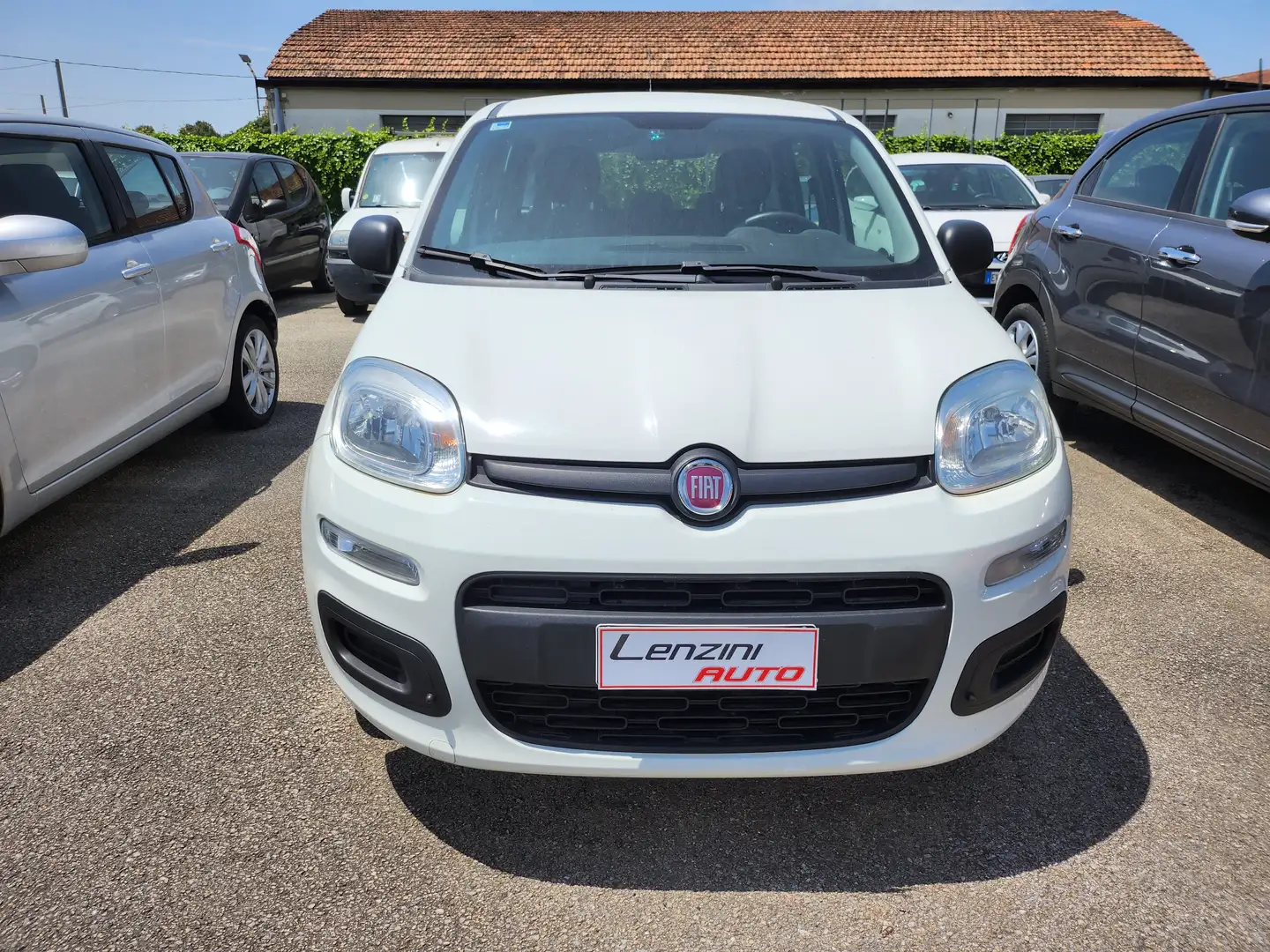 Fiat Panda Panda 1.2 Easy 69cv Blanc - 1
