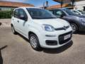 Fiat Panda Panda 1.2 Easy 69cv Blanc - thumbnail 2