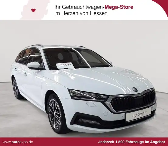2023 Skoda Octavia in White for sale