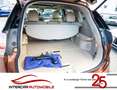 Nissan X-Trail 1.6 dCi Tekna |1.Hand|Scheckheft|AHK| Oranje - thumbnail 18