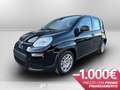 Fiat Panda 1.0 firefly hybrid s&s 70cv Černá - thumbnail 1