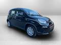 Fiat Panda 1.0 firefly hybrid s&s 70cv Negro - thumbnail 4