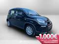 Fiat Panda 1.0 firefly hybrid s&s 70cv Černá - thumbnail 4