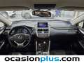 Lexus NX 300 300h Executive 4WD Gris - thumbnail 6