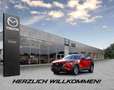 Mazda CX-80 2.5 PHEV (327PS) Autom. Homura Plus Allrad Beige - thumbnail 17