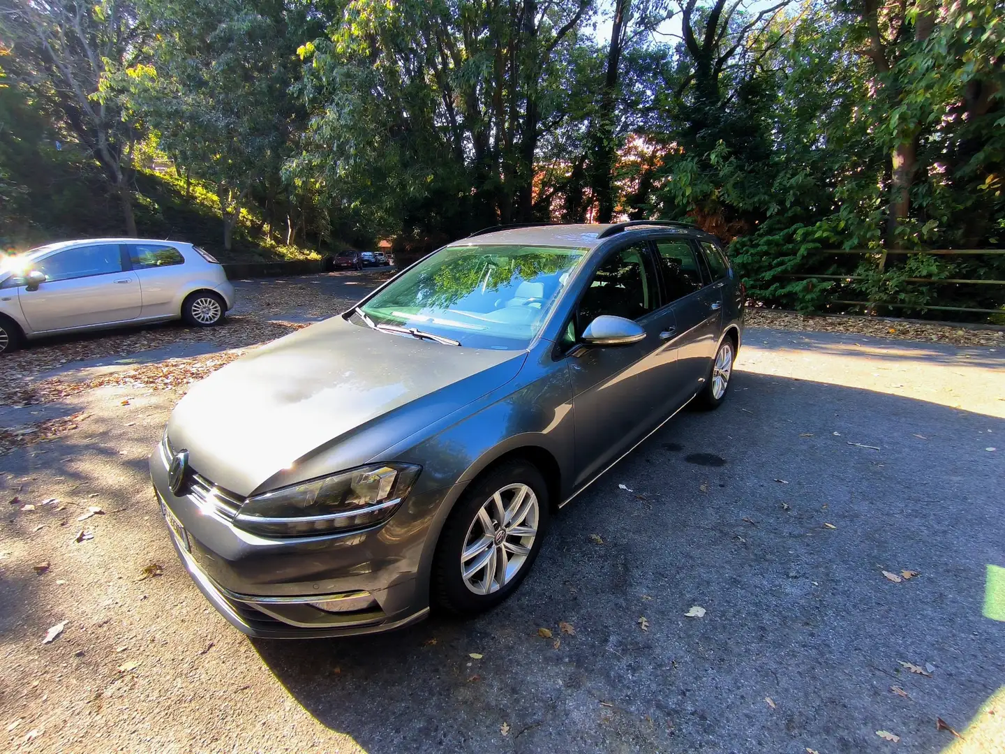 Volkswagen Golf Variant VW Golf Variant 7.5, 1.6 tdi Business 115cv Grigio - 1