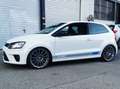 Volkswagen Polo R WRC Polo V 3p 2.0 tsi R-WRC 220cv Weiß - thumbnail 2