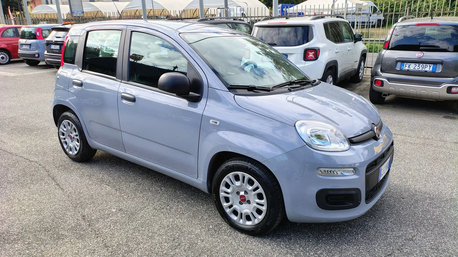 Fiat Panda 1.0 FireFly S&S Hybrid Gris - 2