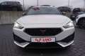 CUPRA Leon ST 2.0 VZ 4Drive LED Navi ACC Schalensitze Weiß - thumbnail 7
