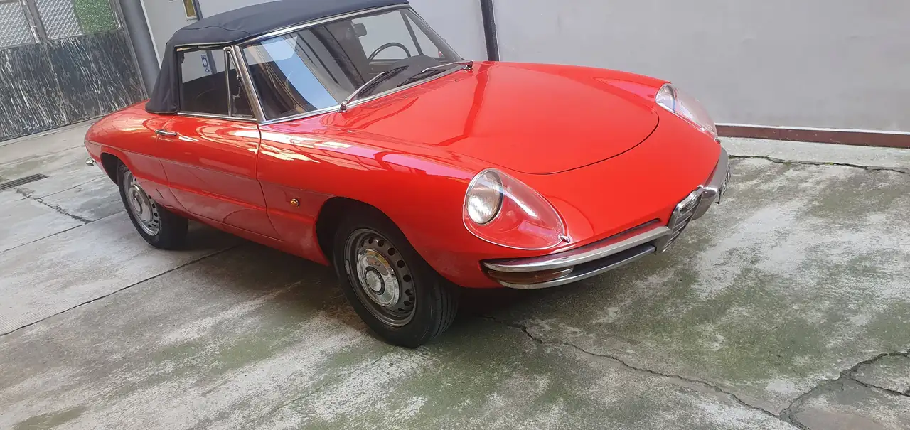 Alfa Romeo Spider Duetto 1.6 "osso di seppia" 1° serie pedaliera bassa, foto 4