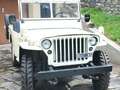 Jeep Willys Beżowy - thumbnail 8
