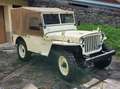 Jeep Willys Beżowy - thumbnail 6