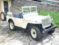 Jeep Willys Beżowy - thumbnail 7