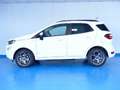 Ford EcoSport 1.0T ECOBOOST 92KW ST LINE 125 5P Wit - thumbnail 6