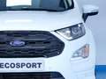 Ford EcoSport 1.0T ECOBOOST 92KW ST LINE 125 5P Blanc - thumbnail 11