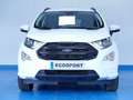 Ford EcoSport 1.0T ECOBOOST 92KW ST LINE 125 5P Blanc - thumbnail 2