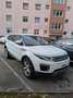 Land Rover Range Rover Evoque SE 2,0 TD4 Aut. - thumbnail 12