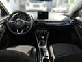 Mazda 2 G90 HOMURA Kam. SpurW KlimaA LM SHZ - thumbnail 11
