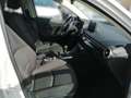 Mazda 2 G90 HOMURA Kam. SpurW KlimaA LM SHZ - thumbnail 15