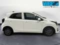 Kia Picanto 1.0 Mpi Urban Bianco - thumbnail 4