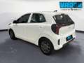 Kia Picanto 1.0 Mpi Urban Bianco - thumbnail 8