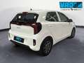 Kia Picanto 1.0 Mpi Urban Bianco - thumbnail 6