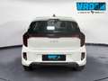 Kia Picanto 1.0 Mpi Urban Bianco - thumbnail 7