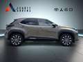Toyota Yaris Cross Team D 1.5l Hybrid LED BT Spurhalteass. Keyless En Bronce - thumbnail 5