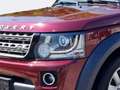 Land Rover Discovery 4 3,0 TDV6 SE Aut. Fiskal LKW Rojo - thumbnail 8