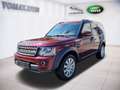 Land Rover Discovery 4 3,0 TDV6 SE Aut. Fiskal LKW Rojo - thumbnail 1