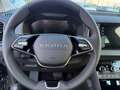 Skoda Karoq 1.5 TSI Rückfahrkam, Sitzheizung,Matrix-LED Zwart - thumbnail 21