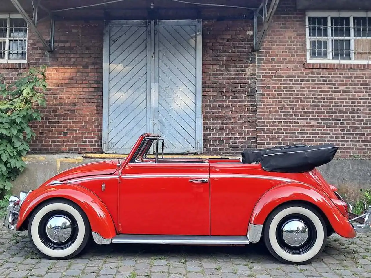 Volkswagen Käfer Cabrio, foto 3