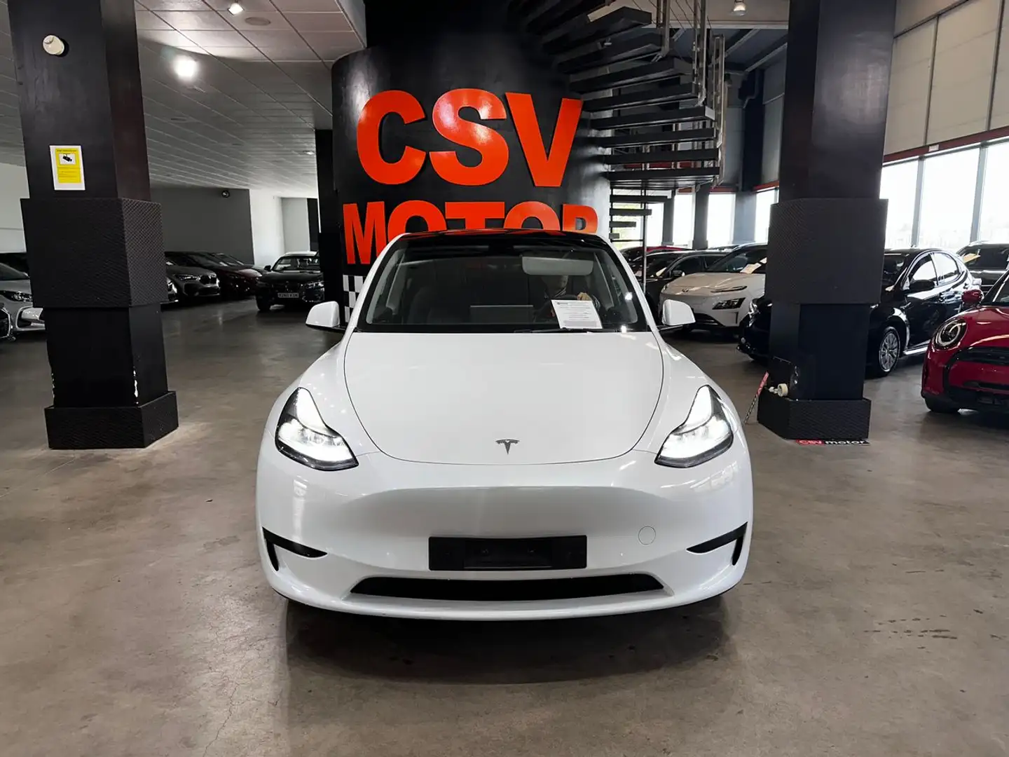 Tesla Model Y Tracción Trasera RWD Blanco - 2