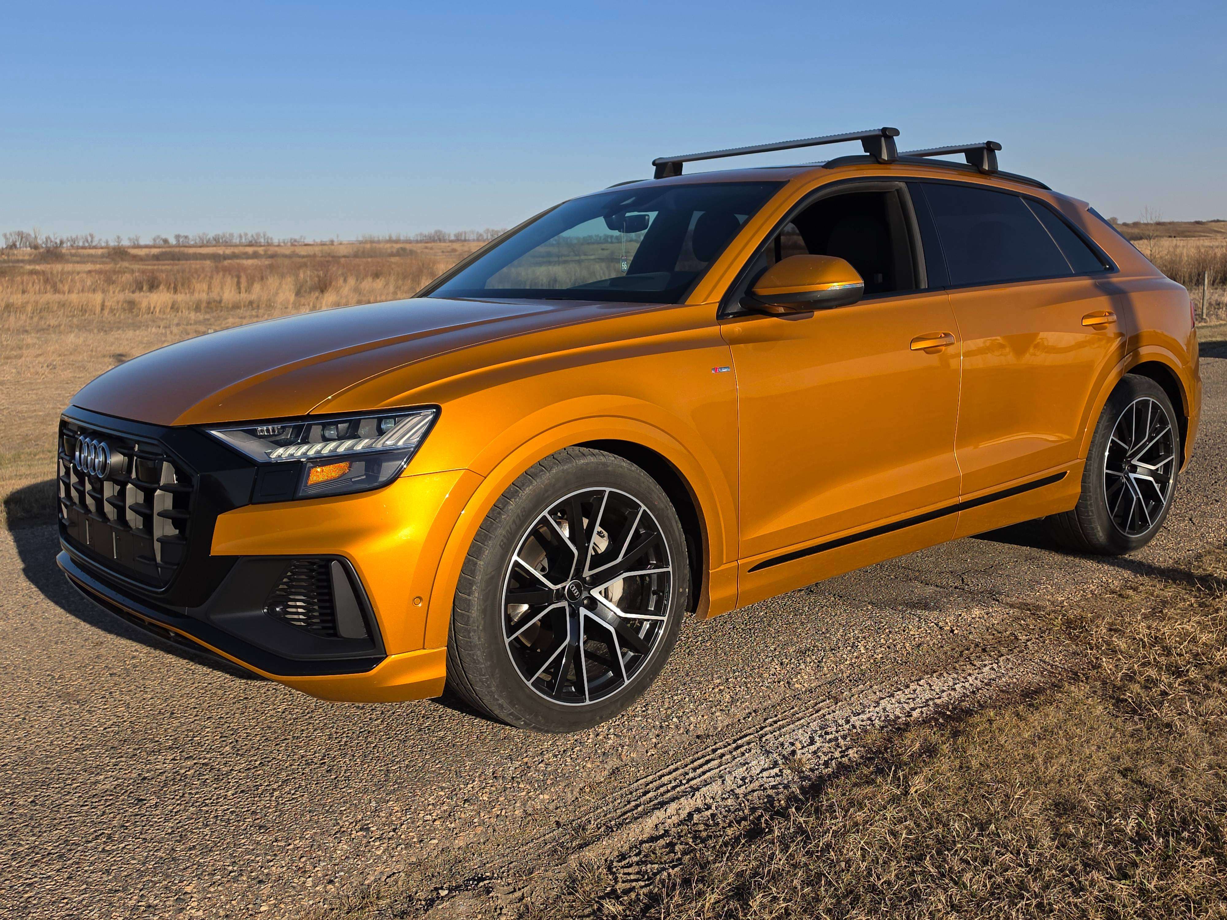 2021 Audi Q8 Technik alt 5