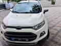 Ford EcoSport ECOSPORT 1.5 Ti-VCT Aut. TREND Weiß - thumbnail 5