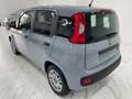 Fiat Panda Panda 1.0 firefly hybrid City Life s Grau - thumbnail 4