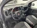 Fiat Panda Panda 1.0 firefly hybrid City Life s Grau - thumbnail 10