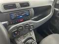 Fiat Panda Panda 1.0 firefly hybrid City Life s Grau - thumbnail 12