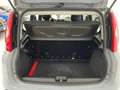 Fiat Panda Panda 1.0 firefly hybrid City Life s Grau - thumbnail 15