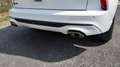 Ford Kuga Kuga 2,5 Duratec PHEV ST-Line X Aut. ST-Line X Weiß - thumbnail 15