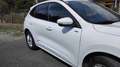 Ford Kuga Kuga 2,5 Duratec PHEV ST-Line X Aut. ST-Line X Weiß - thumbnail 4