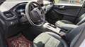 Ford Kuga Kuga 2,5 Duratec PHEV ST-Line X Aut. ST-Line X Weiß - thumbnail 8