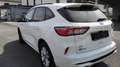 Ford Kuga Kuga 2,5 Duratec PHEV ST-Line X Aut. ST-Line X Weiß - thumbnail 6