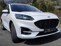 Ford Kuga Kuga 2,5 Duratec PHEV ST-Line X Aut. ST-Line X Weiß - thumbnail 3