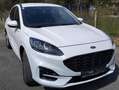 Ford Kuga Kuga 2,5 Duratec PHEV ST-Line X Aut. ST-Line X Weiß - thumbnail 2