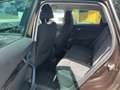 Skoda Karoq Karoq 2,0 TDI Ambition Ambition Braun - thumbnail 10