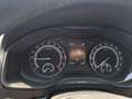 Skoda Karoq Karoq 2,0 TDI Ambition Ambition Braun - thumbnail 6