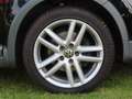 Volkswagen Golf Plus Golf 1,4 Cross  Sehr selten-Schwarz-Leder-Autom. Zwart - thumbnail 19